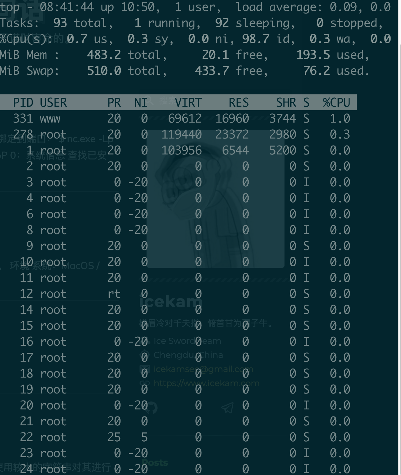 Linux 渗透测试 提权 备忘录